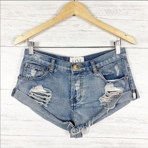 One Teaspoon Bandits.